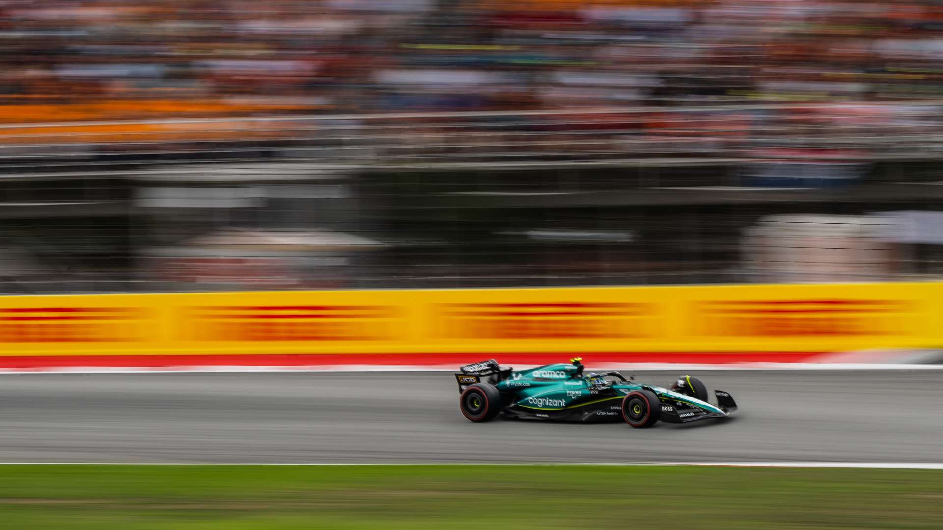 希望本文能 希望本文能