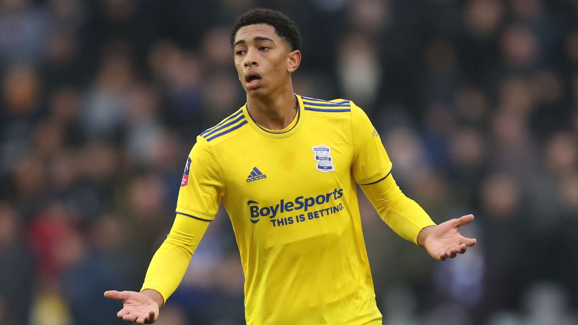 到了更多的 到了更多的