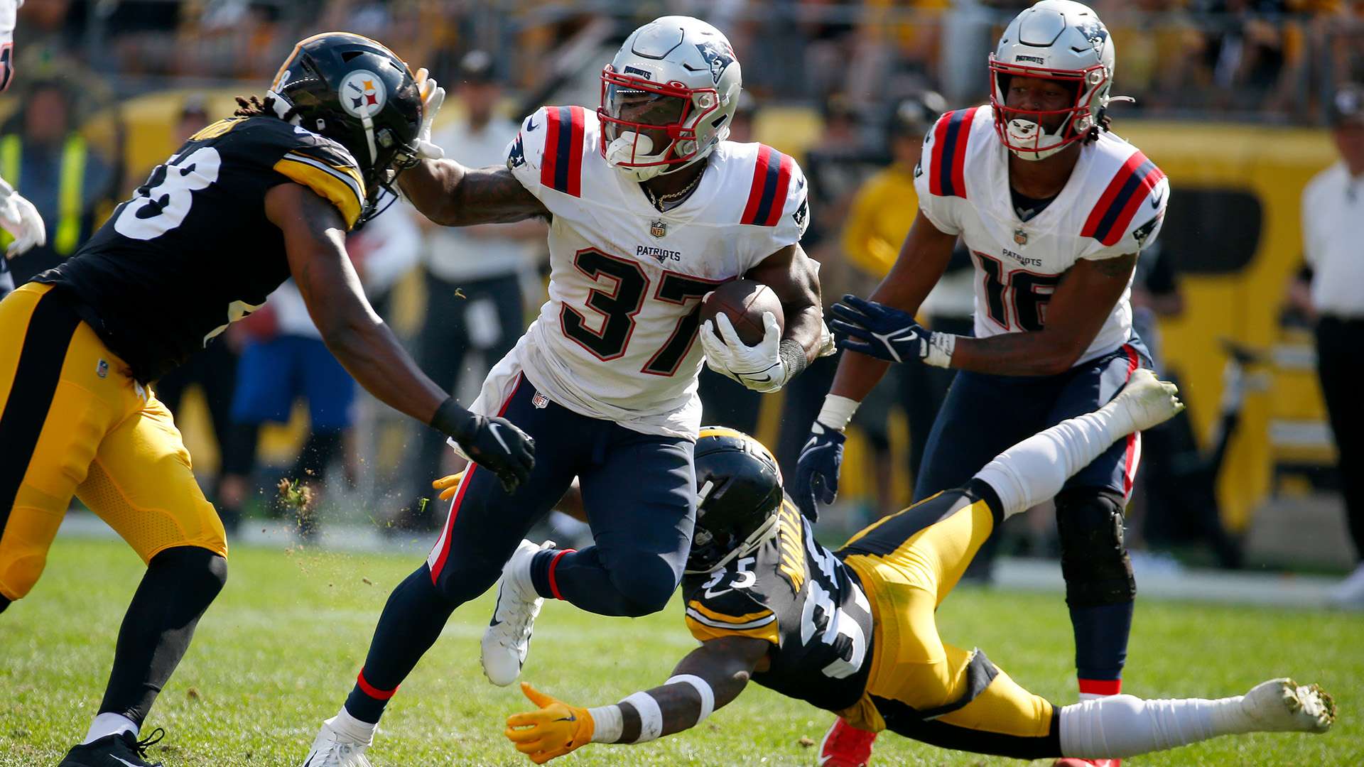 这为他们未 这为他们未