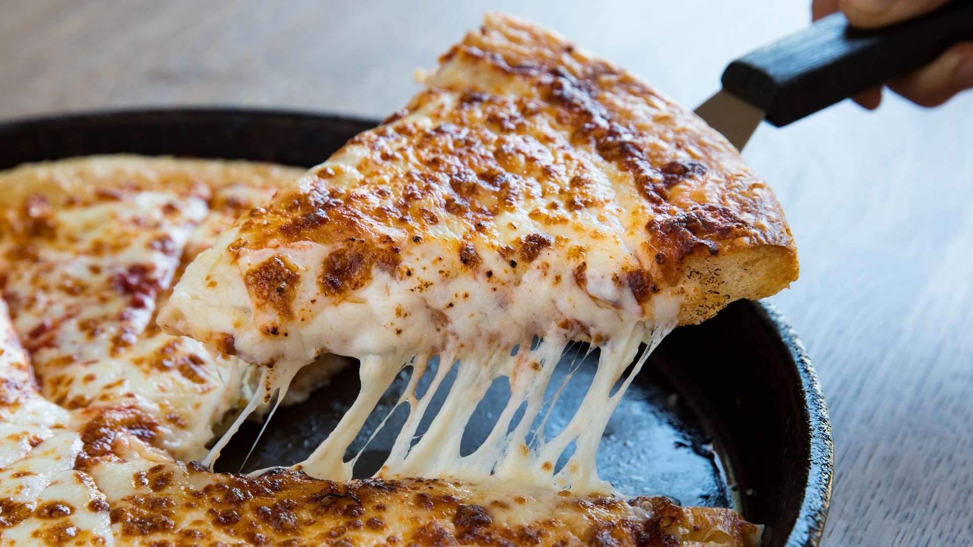 年世界杯预 年世界杯预